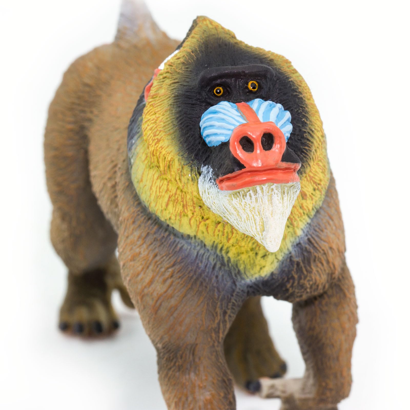 Amazon.co.jp: サファリ社 フィギュア マンドリル 100273 : おもちゃ Amazon.co.jp: サファリ社 フィギュア マンドリル 100273 : おもちゃ
